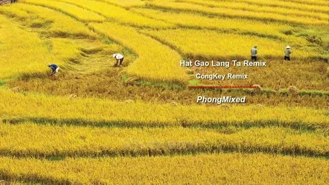 Mẹ đơn thân ở Vĩnh Yên và hành trình tìm lại chính mình cùng Hotspot Matrix_Video ngắn trên Instagram Reels